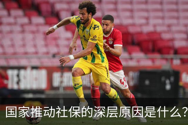 国家推动社保的深层原因是什么？